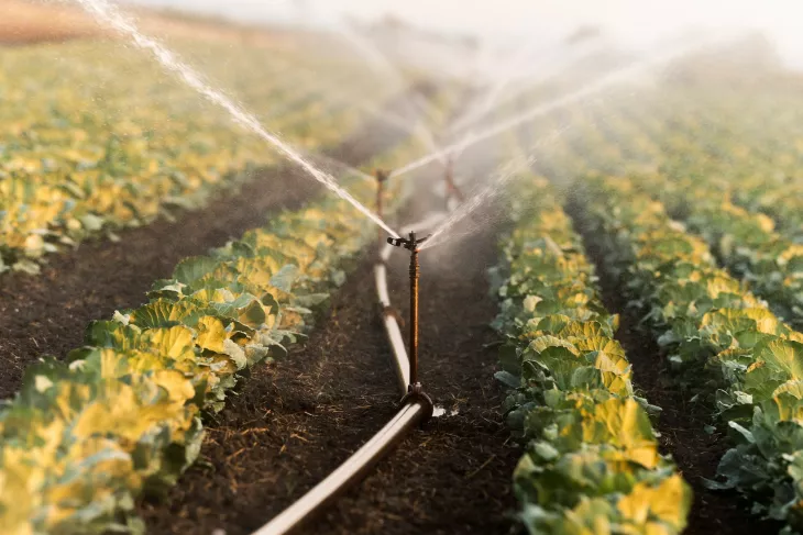 Sprinkler Scheduling Secrets
