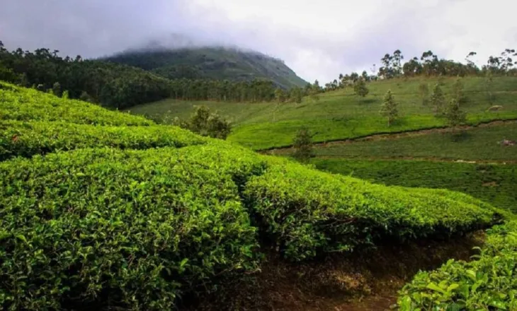 Experience The Rich Cultural Heritage Of Kerala