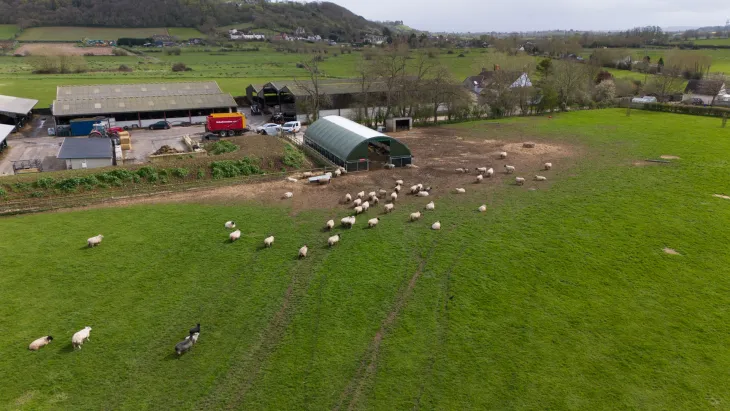 How high-quality lambing sheds improve lamb health and growth rates