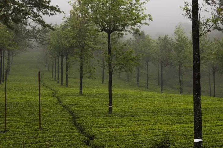 Kerala travel tips: Know This Before You Visit Kerala