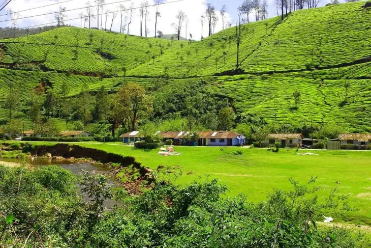 Kerala backwaters tour Where to Visit for Scenery