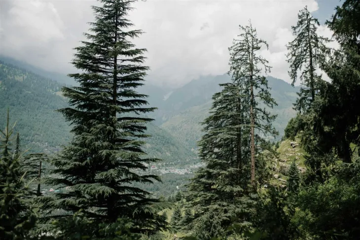Manali in winter