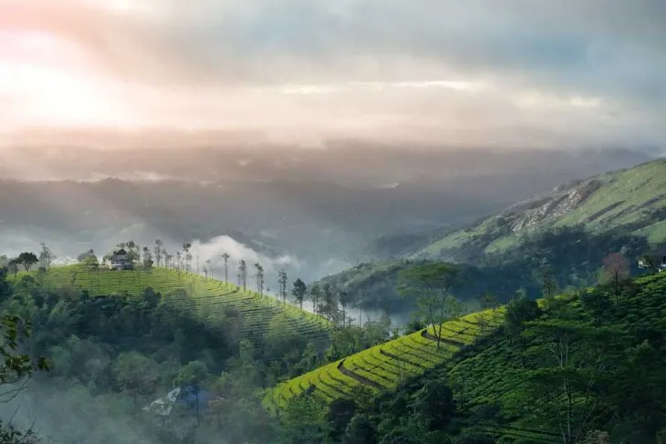 Best Kerala tour Why It is the Ideal Destination in India