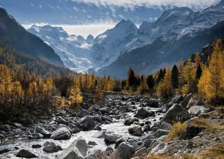 Tourism In Shimla Manali: How To Choose The Perfect Packages