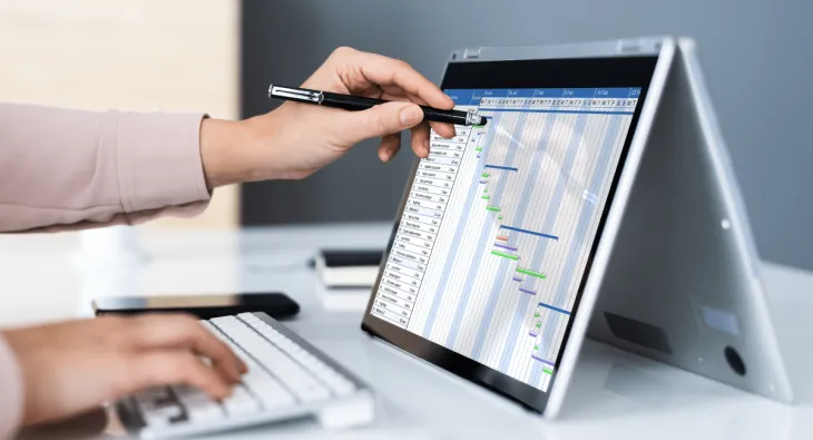 Project management consulting
