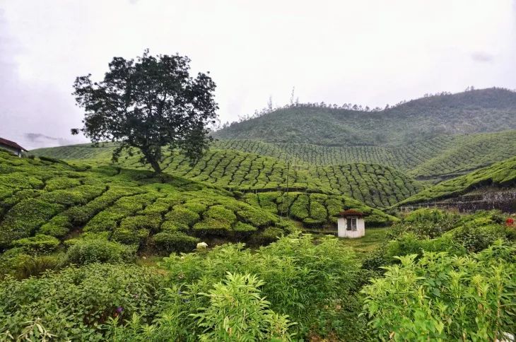 Best Tips To Plan A Kerala Pre Monsoon Vacations From Nellore City