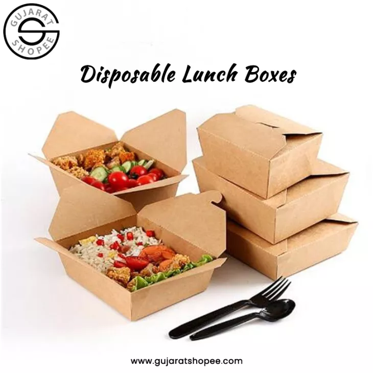 disposable lunch box