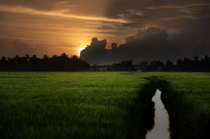 Enjoy Top Offbeat Experiences In Kerala Trip From Vadodara