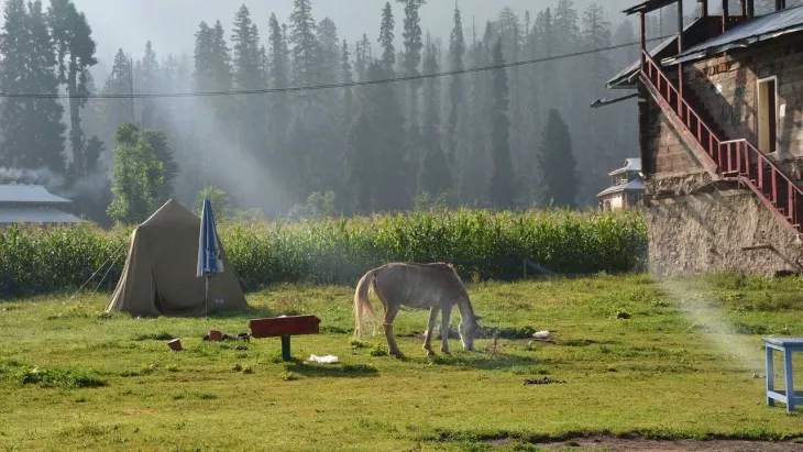 Essential Things To Carry When Planning A Tour To Shimla Manali