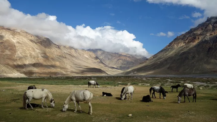 lahaul spiti from kozhikode kerala
