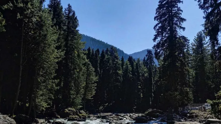 Jammu And Kashmir Tours: The Ultimate Travel Guide To Plan An Unforgettable Journey