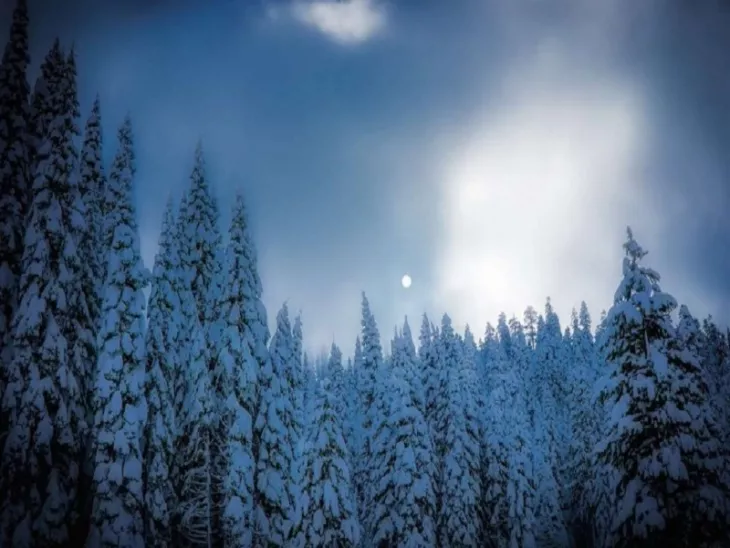 Top Snowfall Destinations To Explore Near New Delhi Including Spiti Valley