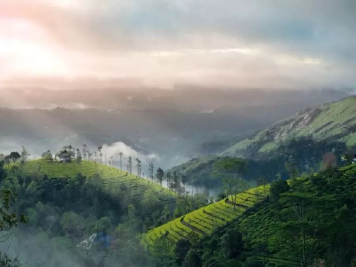 Explore Top Offbeat Places On Your 7 Days Kerala Trip