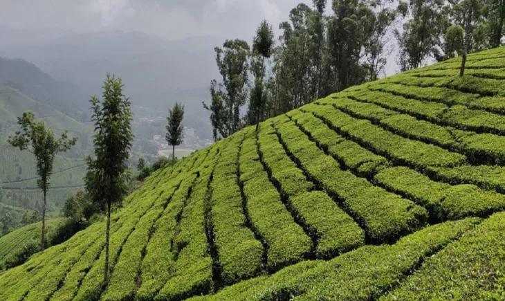 Experience Adventure Tour in Kerala: Best Tips To Enjoy Top Activities