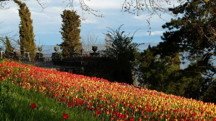 Unique places to visit in Srinagar beyond the tourist hotspots