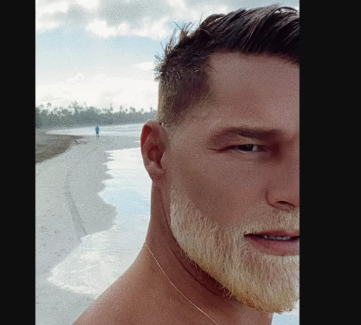 Ricky Martin