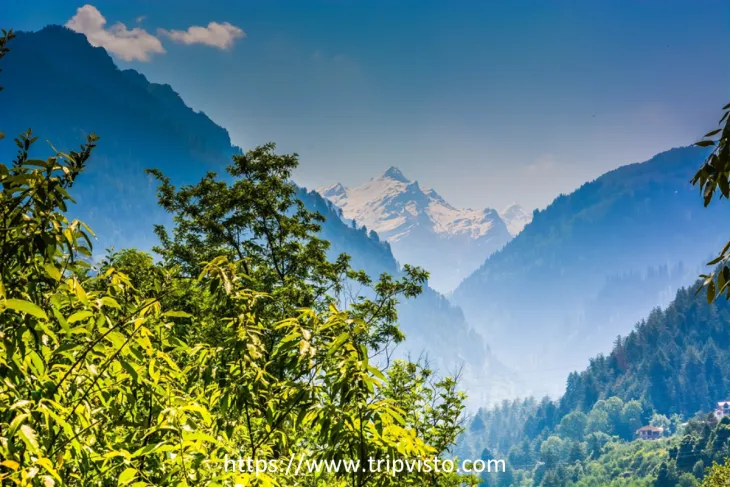 Affordable Shimla Packages from Kerala: What You Need to Know