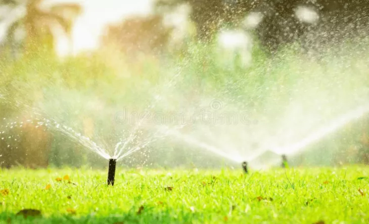 Miami's premier lawn care and maintenance service