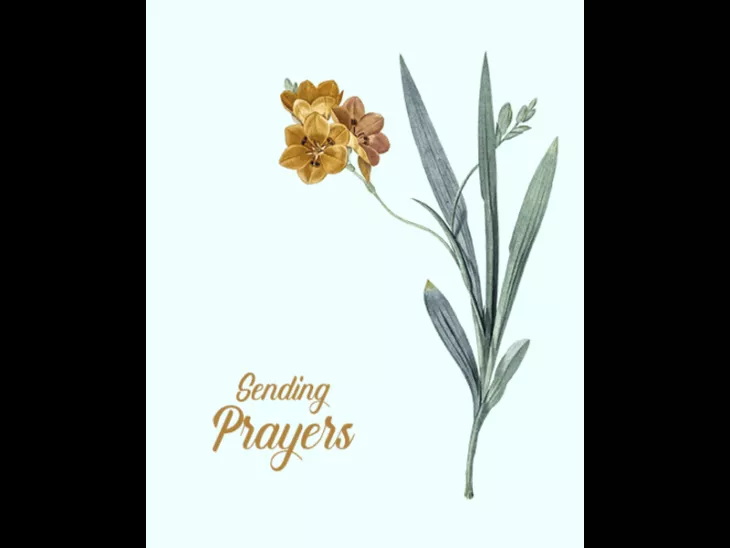 free sympathy cards