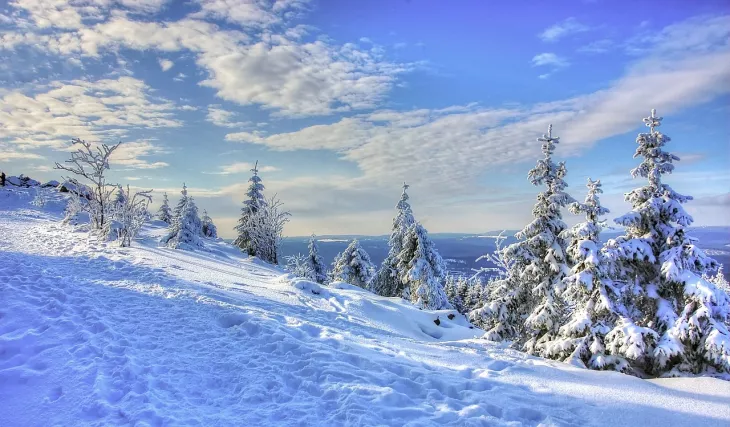 Shimla Family Trip: The Best Time To Explore The Queen Of Hills