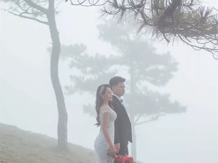 Shimla Or Manali: Which Is Best For A Memorable 4 Days Honeymoon Trip