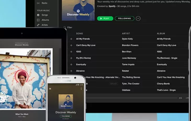 Spotify features