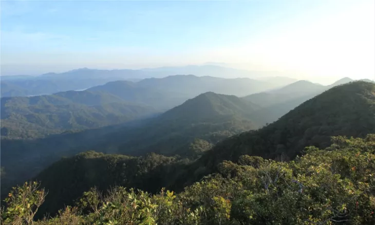 Hainan Tropical Rainforest National Park
