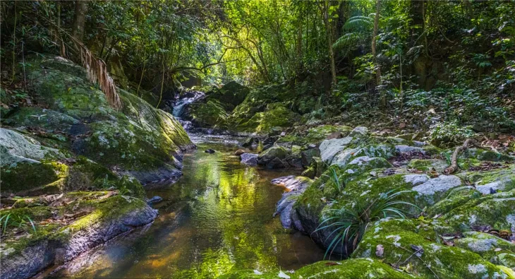 Hainan Tropical Rainforest National Park