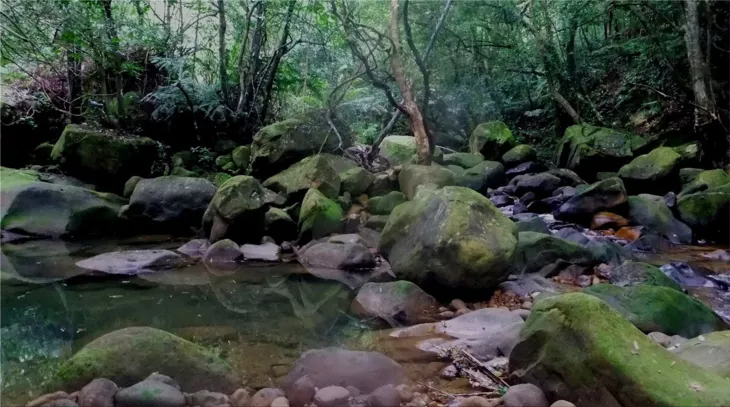 Hainan Tropical Rainforest National Park