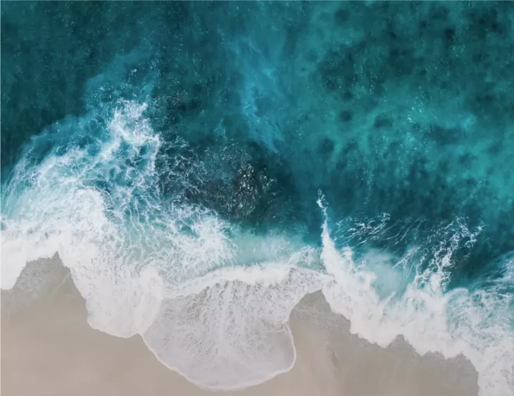 Raw materials from the ocean
