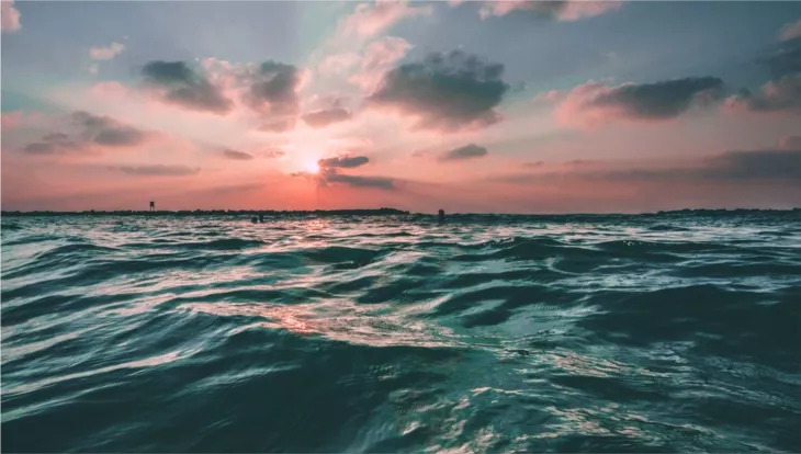 Raw materials from the ocean