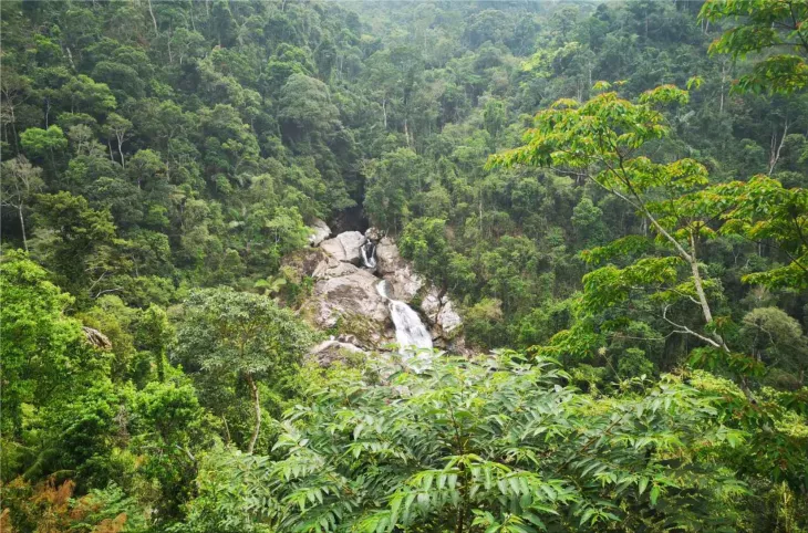 Hainan Tropical Rainforest National Park