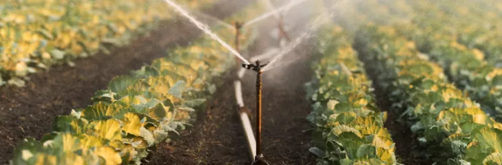 Sprinkler Scheduling Secrets