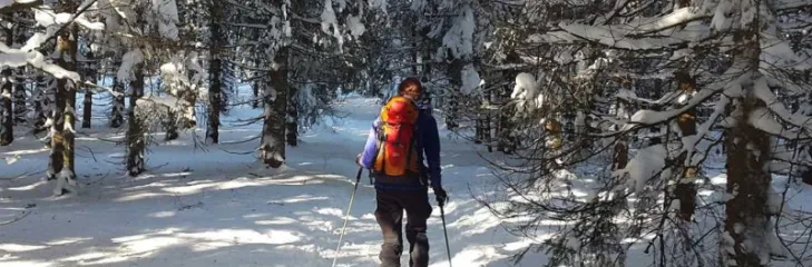 Shimla Manali winter packages