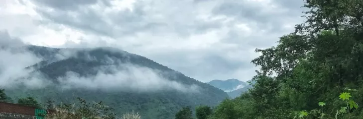 An Amazing Pre Monsoon Trip To Kerala From Nellore To Enjoy The Wonders Of Nature