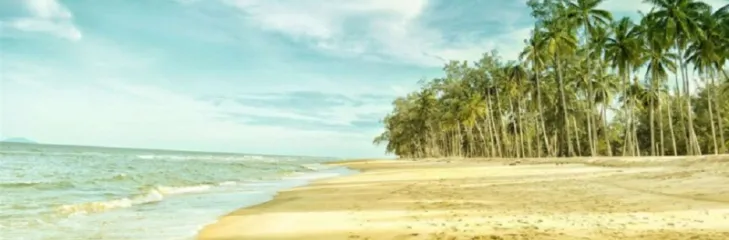 Andaman travel guide What You Need to Know Before Travel