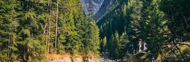 Plan A Tour And Explore The Top Places In Kullu Manali For A Magical Wintertime Adventure
