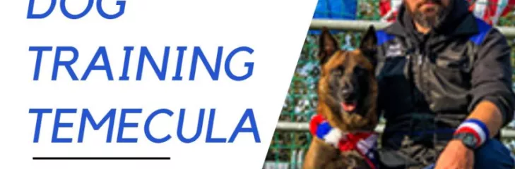 Dog Training Temecula