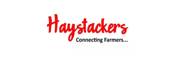 haystackers