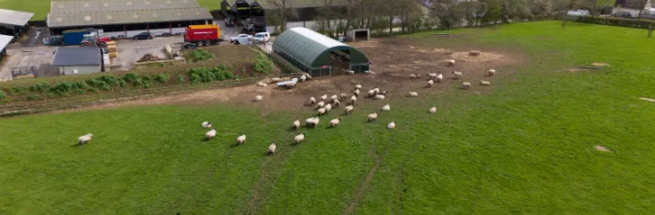 How high-quality lambing sheds improve lamb health and growth rates