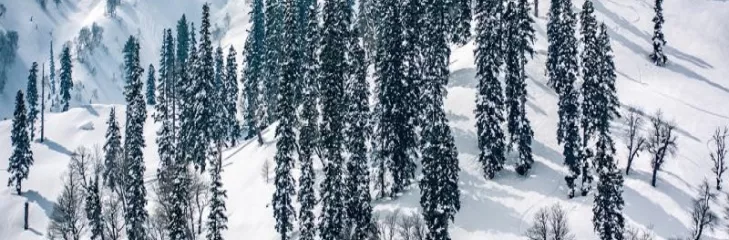 Explore Charming Landscapes And Rich Culture With Jammu And Kashmir 7 days Tour From Lucknow