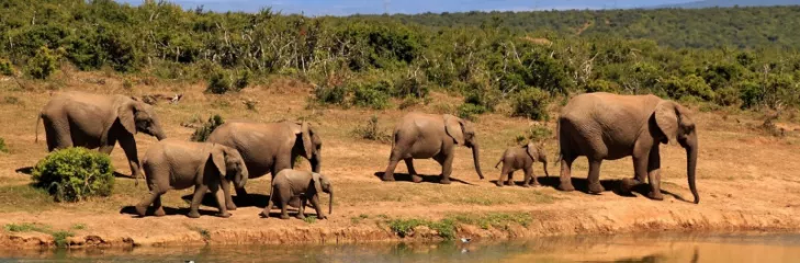 Kerala Adventure Trip: A Best Guide To Adventure Things To Do In Kerala For An Unforgettable Journey