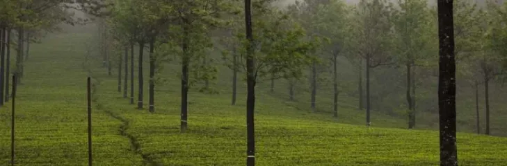 Kerala travel tips: Know This Before You Visit Kerala