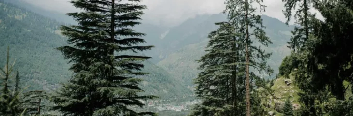 Manali in winter