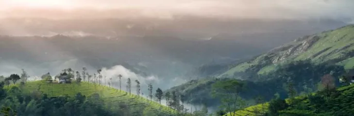 Best Kerala tour Why It is the Ideal Destination in India