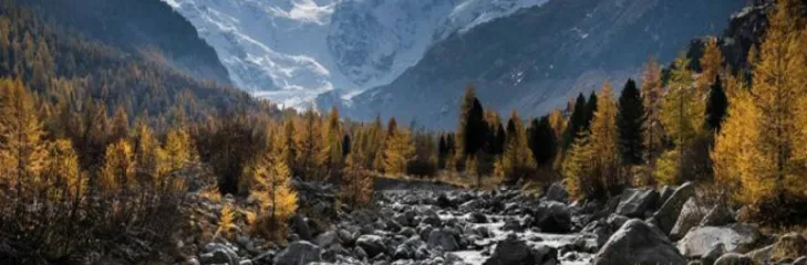 Tourism In Shimla Manali: How To Choose The Perfect Packages