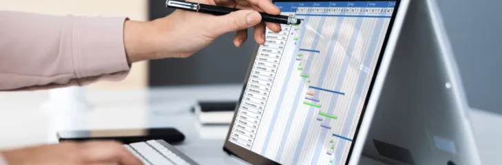 Project management consulting