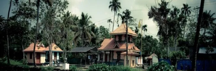 Kerala Backwaters Vacations: A Must Experience Attraction To Enjoy Unforgettable Moments