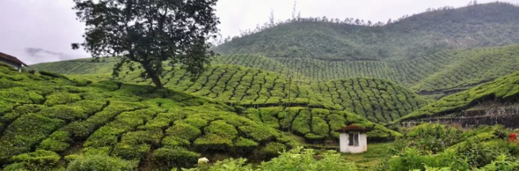 Best Tips To Plan A Kerala Pre Monsoon Vacations From Nellore City