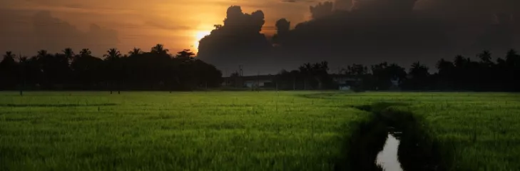 Enjoy Top Offbeat Experiences In Kerala Trip From Vadodara